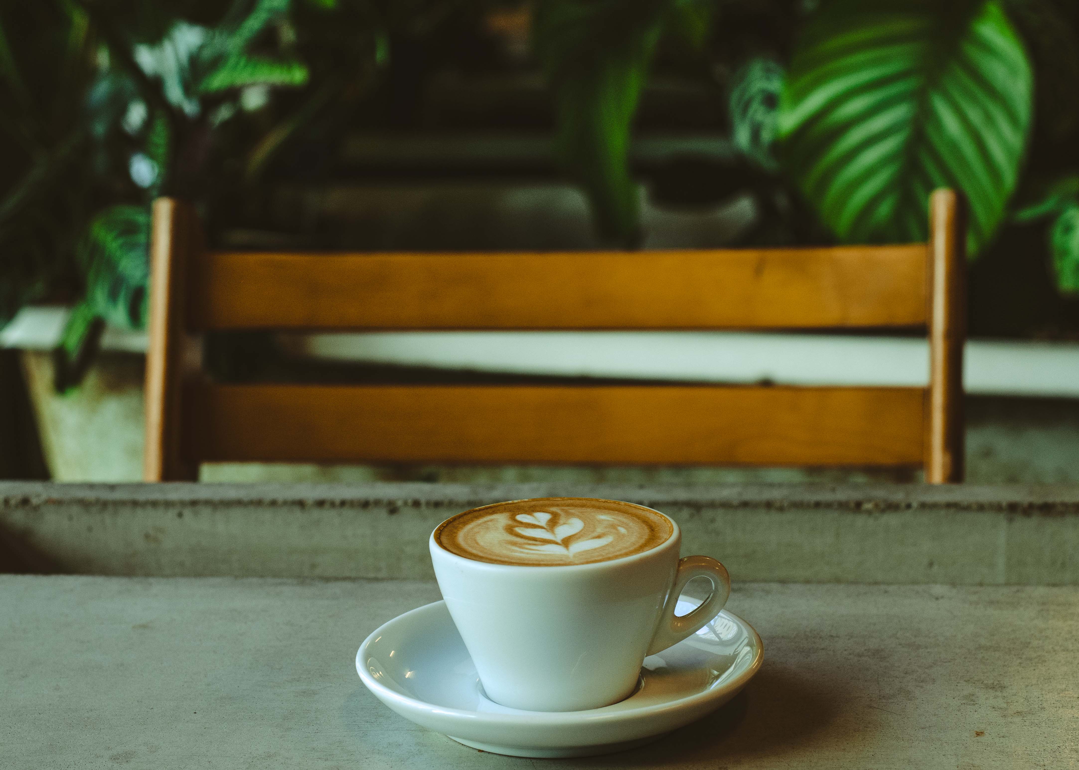 Kreuzberg’s gem – Companion Coffee