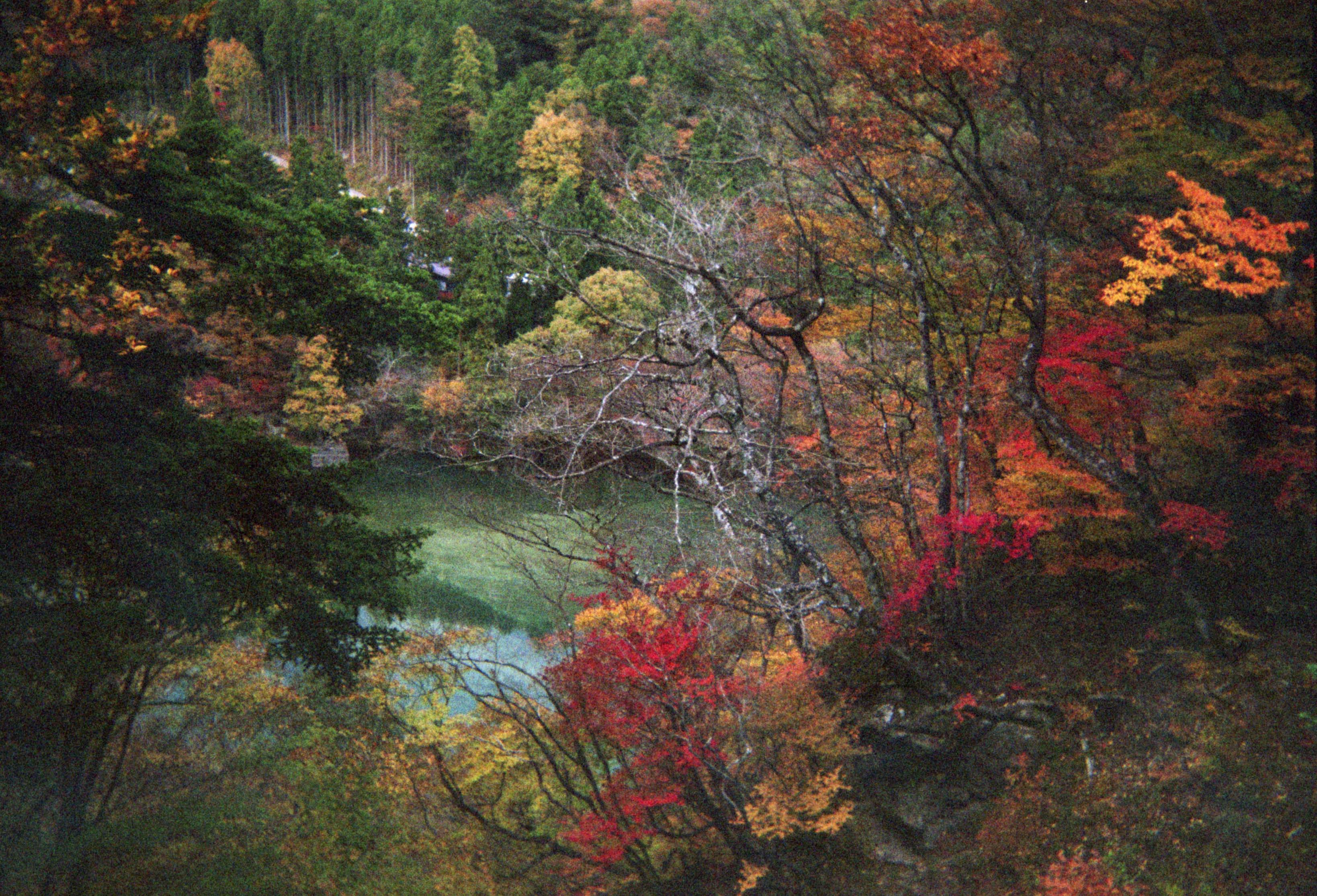 Away from Tokyo – Kuroiso Guide